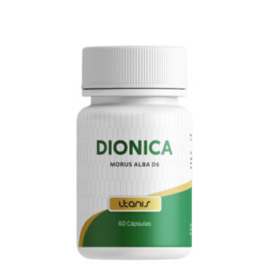 Dionica