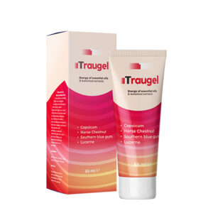 Traugel